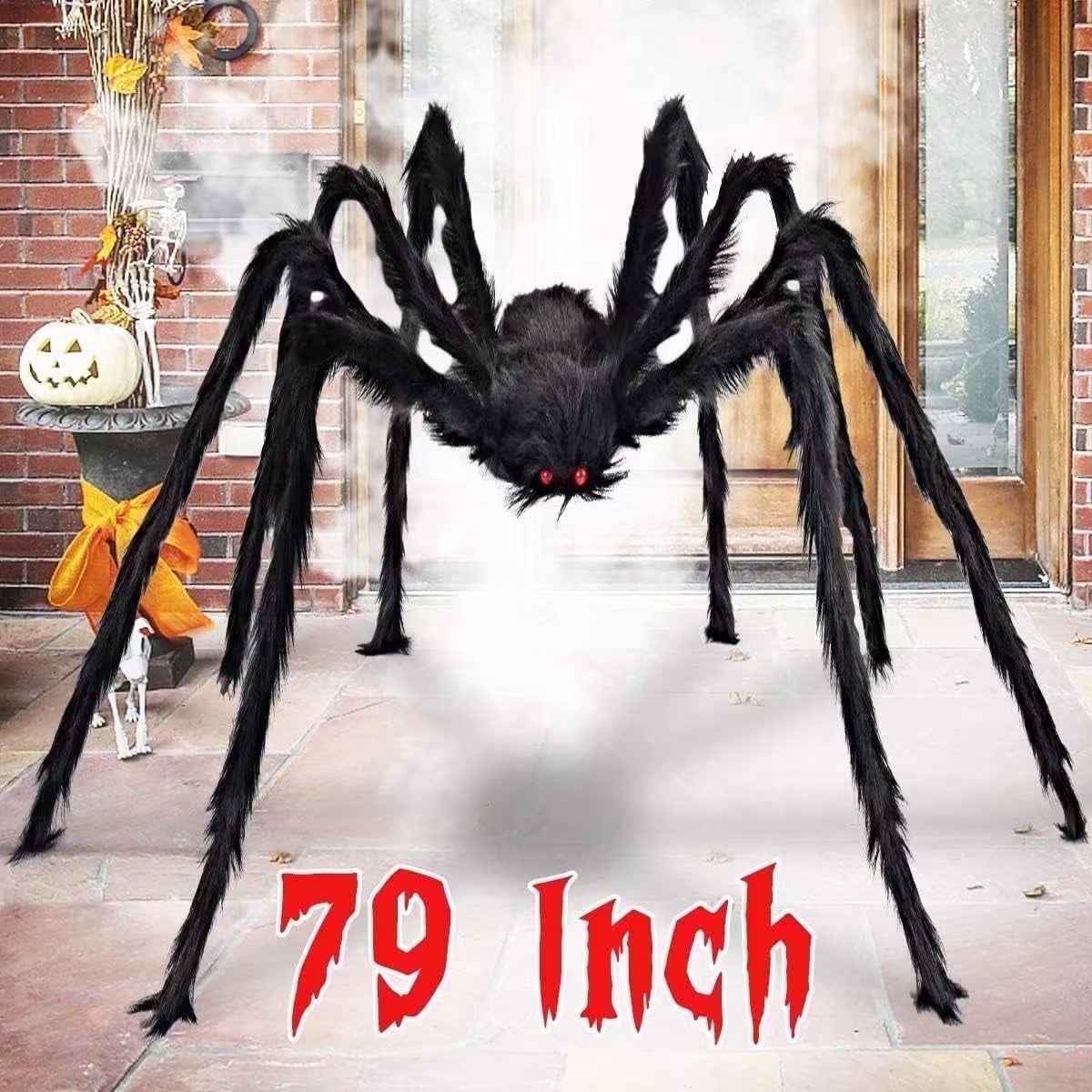 79