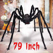79