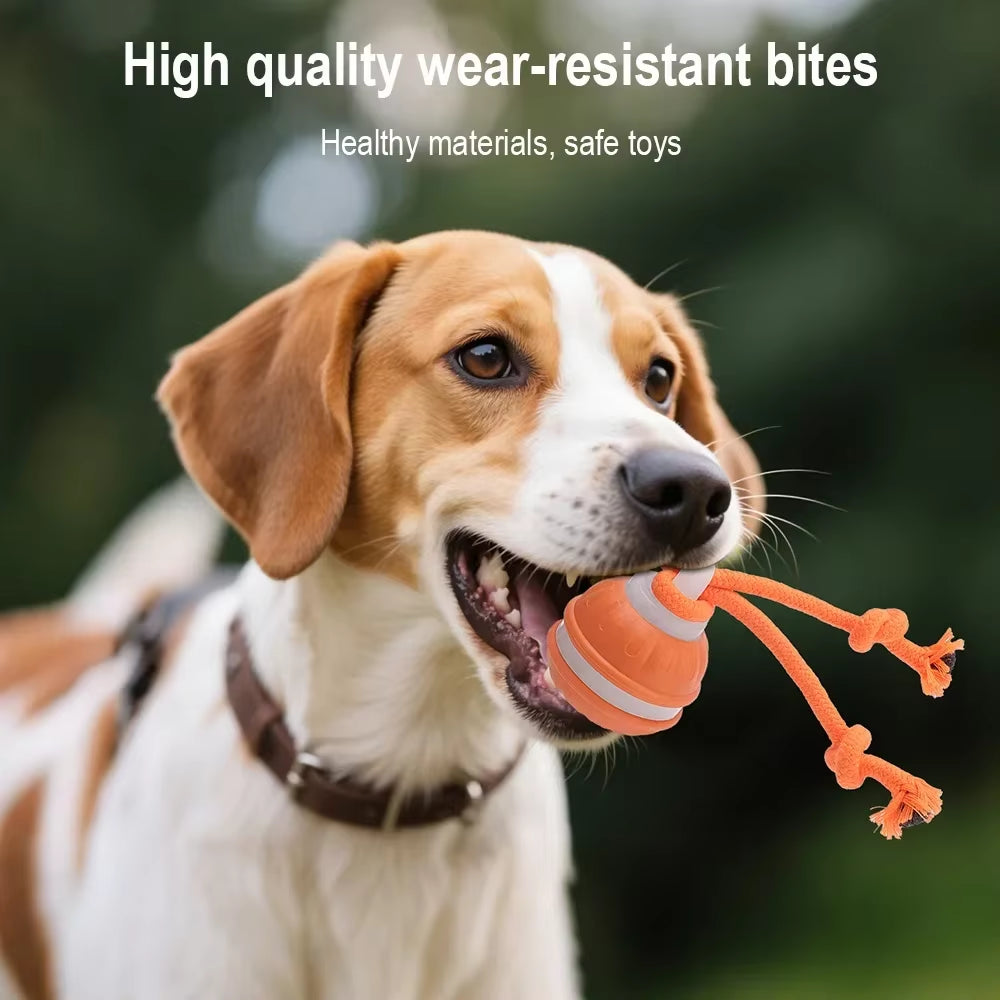 Smart Auto-Rolling Ball Pet Toy – Interactive Electric Toy for Cats & Dogs - Gold Store Business