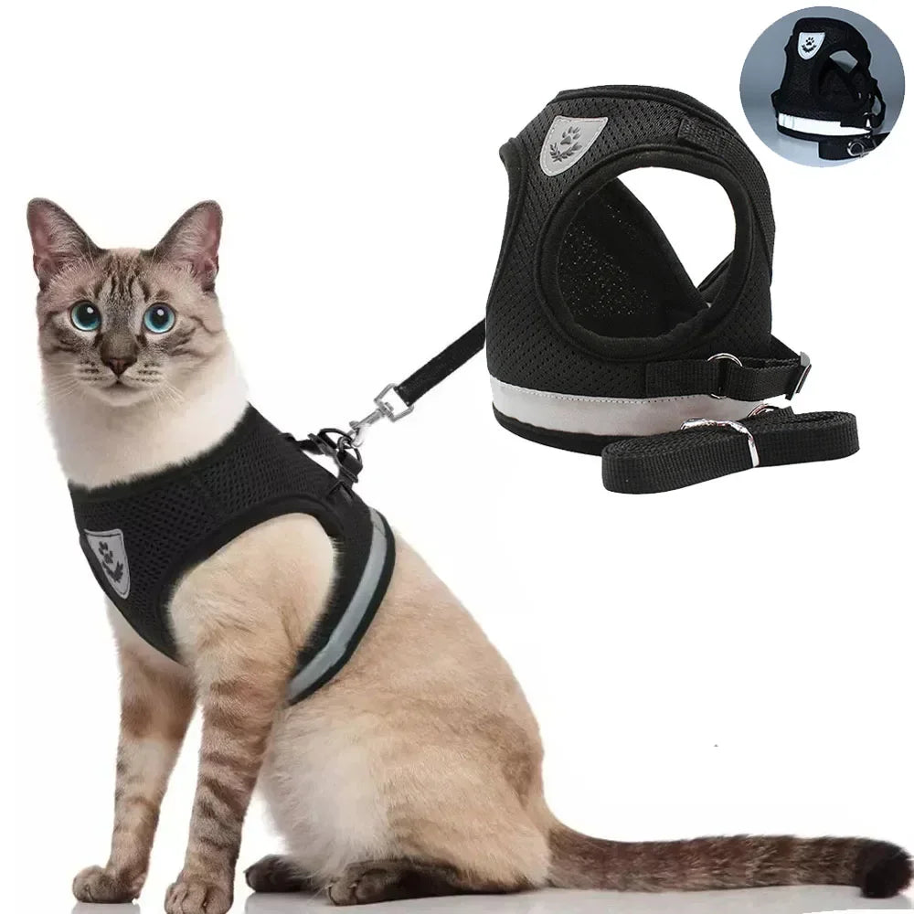 Escape-Proof Cat Harness & Leash Set – Adjustable Reflective Mesh Vest for Cats, Kittens & Small Dogs - Gold Store Business