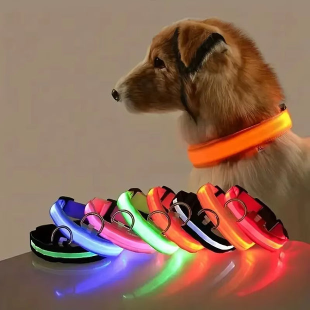 LED Glow-in-the-Dark Dog Leash & Collar Set – Nylon Night Safety Luminous Fluorescent Pet Lead - Gold Store Business