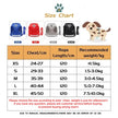 Escape-Proof Cat Harness & Leash Set – Adjustable Reflective Mesh Vest for Cats, Kittens & Small Dogs - Gold Store Business