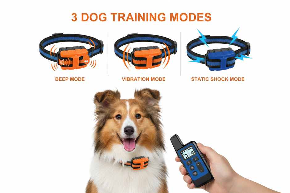 Anti-Bark Dog Collar – Electric Shock, Vibration & Sound with LED for Small & Large Dogs - Gold Store Business