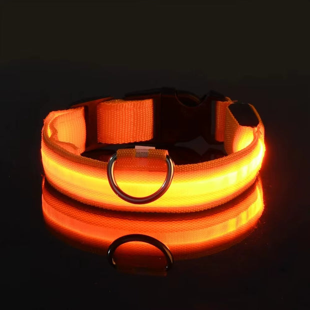 LED Glow-in-the-Dark Dog Leash & Collar Set – Nylon Night Safety Luminous Fluorescent Pet Lead - Gold Store Business