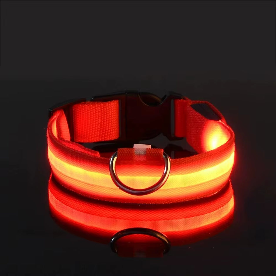 LED Glow-in-the-Dark Dog Leash & Collar Set – Nylon Night Safety Luminous Fluorescent Pet Lead - Gold Store Business
