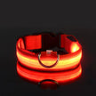LED Glow-in-the-Dark Dog Leash & Collar Set – Nylon Night Safety Luminous Fluorescent Pet Lead - Gold Store Business