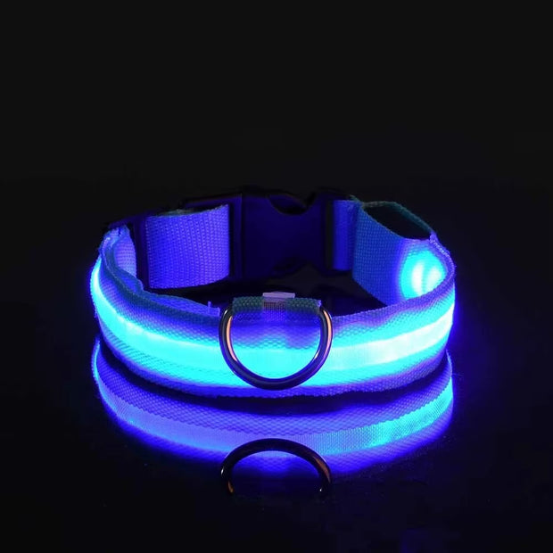 LED Glow-in-the-Dark Dog Leash & Collar Set – Nylon Night Safety Luminous Fluorescent Pet Lead - Gold Store Business