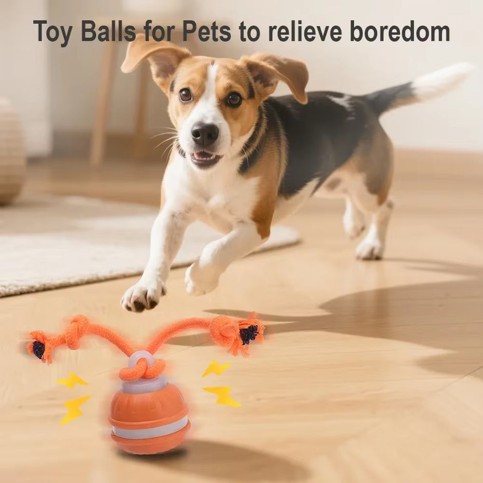 Smart Auto-Rolling Ball Pet Toy – Interactive Electric Toy for Cats & Dogs - Gold Store Business