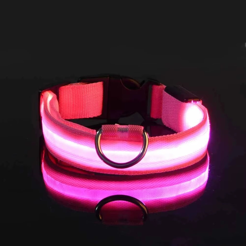 LED Glow-in-the-Dark Dog Leash & Collar Set – Nylon Night Safety Luminous Fluorescent Pet Lead - Gold Store Business