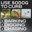 Ultrasonic Dog Bark Repeller & Training Device – USB Rechargeable Anti-Barking Deterrent with High Power - Gold Store Business