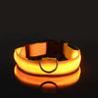 LED Glow-in-the-Dark Dog Leash & Collar Set – Nylon Night Safety Luminous Fluorescent Pet Lead - Gold Store Business
