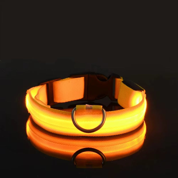 LED Glow-in-the-Dark Dog Leash & Collar Set – Nylon Night Safety Luminous Fluorescent Pet Lead - Gold Store Business