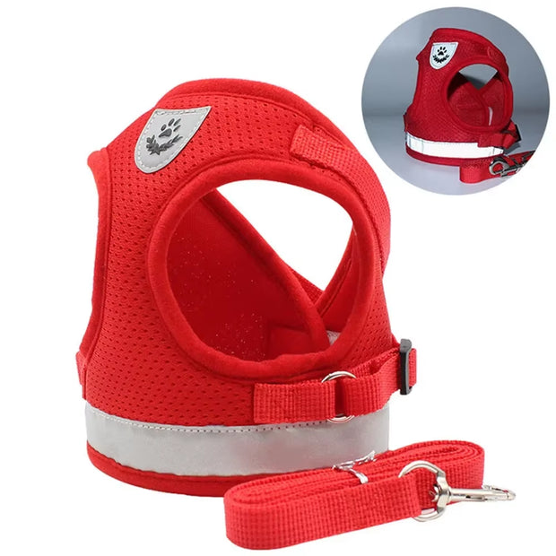 Escape-Proof Cat Harness & Leash Set – Adjustable Reflective Mesh Vest for Cats, Kittens & Small Dogs - Gold Store Business