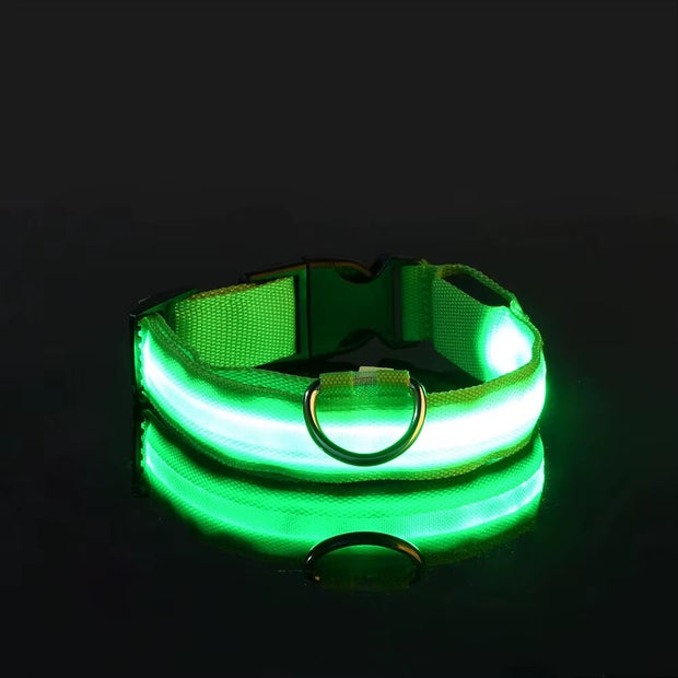 LED Glow-in-the-Dark Dog Leash & Collar Set – Nylon Night Safety Luminous Fluorescent Pet Lead - Gold Store Business