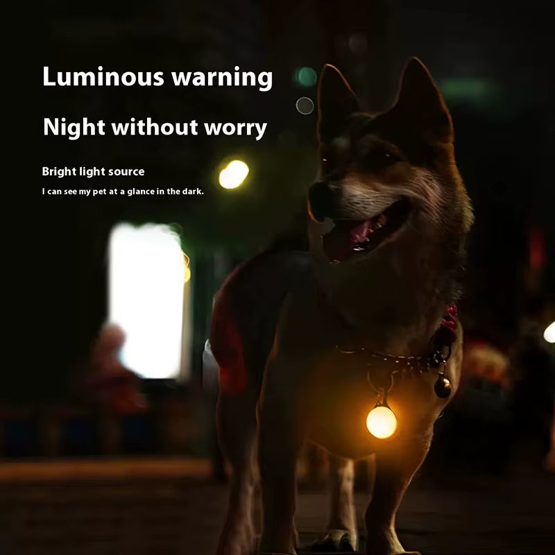 LED Luminous Glowing Dog & Cat Collar – Night Safety Pendant Necklace with Bright Light Decoration - Gold Store Business