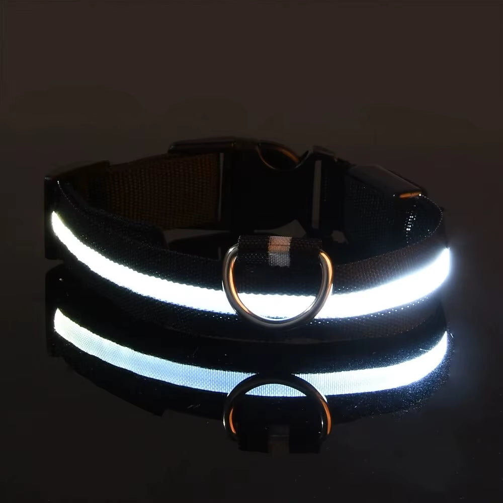 LED Glow-in-the-Dark Dog Leash & Collar Set – Nylon Night Safety Luminous Fluorescent Pet Lead - Gold Store Business