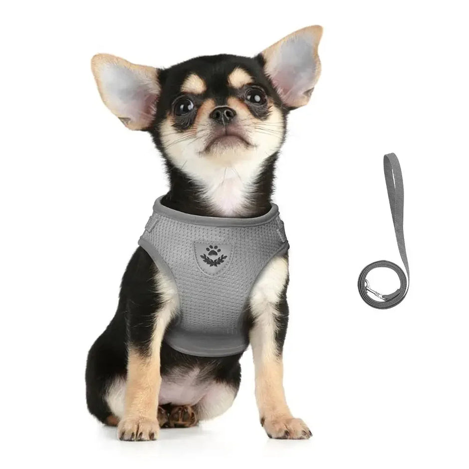 Escape-Proof Cat Harness & Leash Set – Adjustable Reflective Mesh Vest for Cats, Kittens & Small Dogs - Gold Store Business