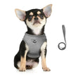Escape-Proof Cat Harness & Leash Set – Adjustable Reflective Mesh Vest for Cats, Kittens & Small Dogs - Gold Store Business