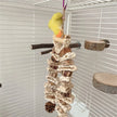 Large Parrot Chewing & Climbing Swing Toy – Natural Pine Cone Bird Cage Hanging Toy for Lovebirds & Cockatoos - Gold Store Business