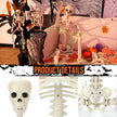 3Pcs Halloween Skeleton Decorations, Posable Skeletons Halloween Decorations Indoor Outdoor
