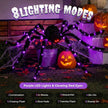 5ft Giant Light-Up Halloween Spider | Hairy Plush, Purple LED Legs, Poseable — Indoor & Outdoor Decor
