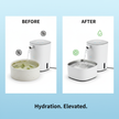 Smart Pet Water Fountain — 1200mL Silent USB Filter Dispenser for Cats & Dogs - Gold Store Business