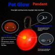 LED Luminous Glowing Dog & Cat Collar – Night Safety Pendant Necklace with Bright Light Decoration - Gold Store Business