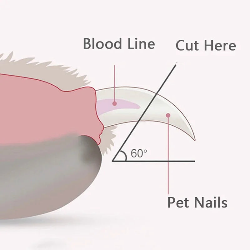 Professional Pet Nail Clippers with LED Light — Dogs, Cats & Small Animals - Gold Store Business