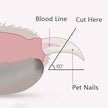 Professional Pet Nail Clippers with LED Light — Dogs, Cats & Small Animals - Gold Store Business