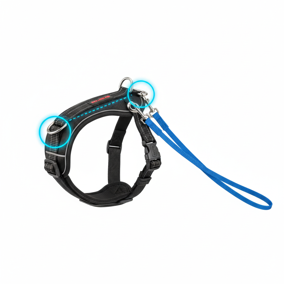 No-Pull Dog Harness – Soft Padded Reflective Vest for Small, Medium & Large Dogs - Gold Store Business
