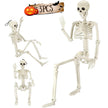 3-Piece Posable Halloween Skeleton Set | 35
