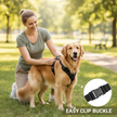 No-Pull Dog Harness – Soft Padded Reflective Vest for Small, Medium & Large Dogs - Gold Store Business