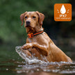 Waterproof Rechargeable Dog Training Collar with Remote – Beep, Vibration & Static Stimulation Modes for All Dogs - Gold Store Business