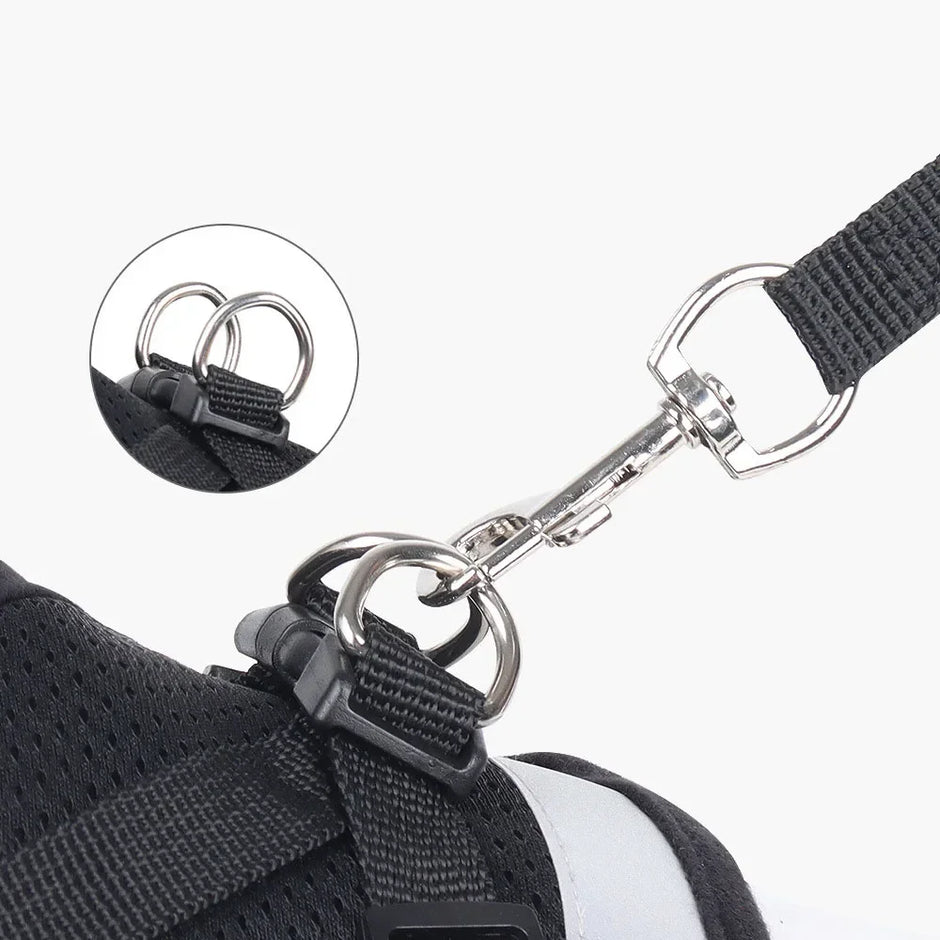 Escape-Proof Cat Harness & Leash Set – Adjustable Reflective Mesh Vest for Cats, Kittens & Small Dogs - Gold Store Business