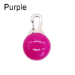 LED Luminous Glowing Dog & Cat Collar – Night Safety Pendant Necklace with Bright Light Decoration - Gold Store Business