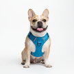 No-Pull Dog Harness – Soft Padded Reflective Vest for Small, Medium & Large Dogs - Gold Store Business