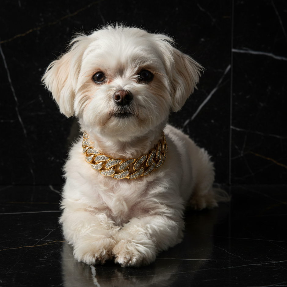 Luxury Cuban Link Dog Collar – Gold & Silver Diamond Chain Necklace for Pets - Gold Store Business