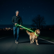 LED Glow-in-the-Dark Dog Leash & Collar Set – Nylon Night Safety Luminous Fluorescent Pet Lead - Gold Store Business