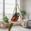 Large Parrot Chewing & Climbing Swing Toy – Natural Pine Cone Bird Cage Hanging Toy for Lovebirds & Cockatoos - Gold Store Business