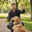 Waterproof Rechargeable Dog Training Collar with Remote – Beep, Vibration & Static Stimulation Modes for All Dogs - Gold Store Business