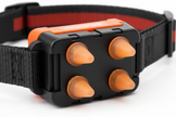 Anti-Bark Dog Collar – Electric Shock, Vibration & Sound with LED for Small & Large Dogs - Gold Store Business