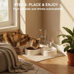 Self-Filling Pet Water Bowl — Automatic Moisture-Proof Dog & Cat Drinking Bowl - Gold Store Business